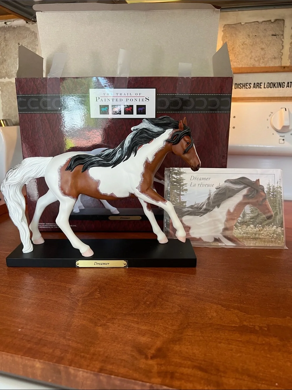The Trail of Painted Ponies Dreamer